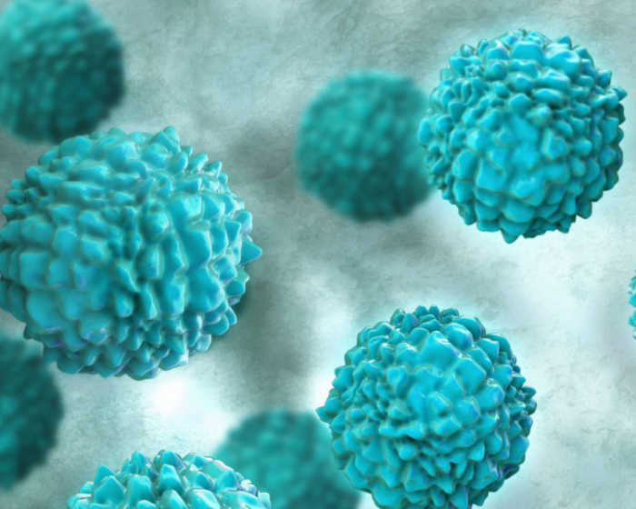 Теперь в нашей клинике доступно обследование методом ПЦР на кишечные инфекции Теперь в нашей клинике доступно обследование методом ПЦР на кишечные инфекции